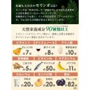 하피푸드 네이버블로그