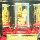 세일주유소 | 미서부 패키지 여행 후기(4일차 요세미티, 5일차 라스베가스)