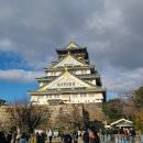 한국사슴백화점 | 오사카 가족여행 5박6일 일정 세번째 나라 사슴공원과 오사카성 다녀온 후기