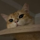 장금이왕김밥 | Interlude ; 2026 첫 번째 레이어