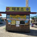 동일동산 내