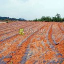 전남 해남군 계곡면 덕정리 / 밭 전, 약초재배부지 농원용지 전원생활부지 요양원부지 하우스부지 / 3 이미지