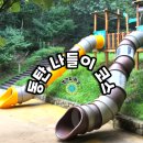 노작공원(노인공원) | 동탄 아이와 가볼만한 곳-동탄아트스페이스부터 노작호수공원 물놀이장까지!