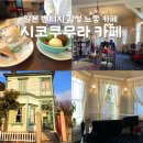 와삼 | [다카마쓰 카페] 시코쿠의 와삼본 설탕으로 만든 달달한 아이스크림을 먹을 수 있는 느좋 카페, 시코쿠...