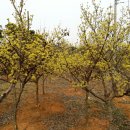 금곡농장 이미지