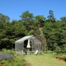 카페아리 이미지