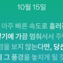 셔플댄스(야간) 이미지