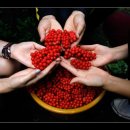 경진산업 이미지