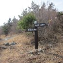 생일면-1 이미지