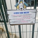 멍스타 | 모든 것이 만족스러웠던 애견카페 &lt;멍스타&gt; 내 돈 내산 후기