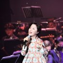 시립국악단과 함께하는 국악콘서트 <금낭화> 이미지