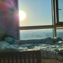 남매침구 이미지