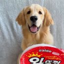 도그베이 오산점 이미지