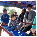영완농장 Daum카페