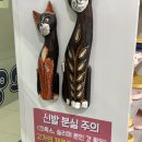 아이캣 | 전주 신시가지 고양이 카페 아이캣유 솔직후기