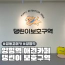 댕린이 보호구역 이미지