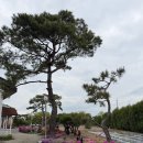 펜션 꼬모도 이미지