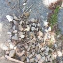 성주초등학교병설유치원 이미지