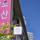 소사2지구 | 평택 소사동 네일샵 맛집 쏘네일 유지력 좋은 취향저격 실버 자석젤 후기