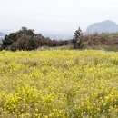 하모리-10 이미지