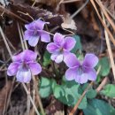 금정체육공원 이미지