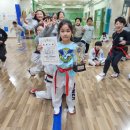 연세파워태권도 이미지