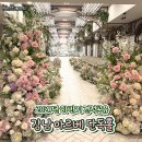 (합)모두에듀투어 | 강남 가성비 웨딩홀 | 아르베 홀투어 솔직 후기 (2027년 견적공유)