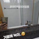필데코하우스