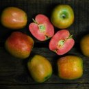 진홍농장 이미지