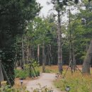 스테이펫_호텔 이미지