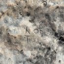 봉재공원 | 첫 해외여행, 혼자 떠나요 [시드니] 5일 차