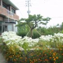 월포주유소 이미지