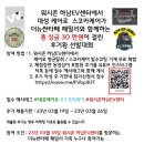 워시존 하남EV센터 이미지