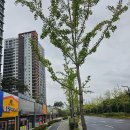 봉담중흥에듀파크최고공인중개사사무소 이미지