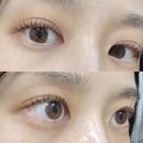 모어댄아트 | 의정부 속눈썹펌 모어댄뷰티 내돈내산 후기