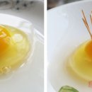 황금알 농장 이미지