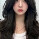 에이바헤어 네이버블로그