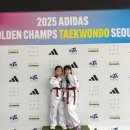 경희대 효 태권도 | [대회 후기] 2025 아디다스 태권도 골든챔스 서울대회...feat (경희대효친구들)
