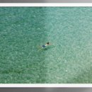 산격초등학교 이미지