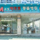 수성 메트로 동물병원 이미지