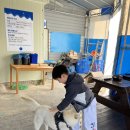 88실내바다낚시터 이미지