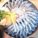쌍사약국 | [해물대장] 포항쌍사 횟집:) 해산물 맛집/재방문