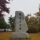 주안동고인돌 이미지