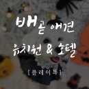 플레이독(애견유치원&호텔) 이미지