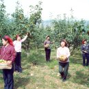 길주농장 이미지