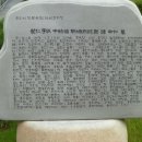 이중인 묘 이미지