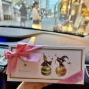 강화남부농협주유소 | 강화도 3월 한 달 장박 3주차 문라이트캠핑장 #5 선두5리어판장 하용호