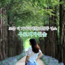 (주)옥천당 영천지점 | 영천 우로지자연숲 맥문동 만개 시기는?