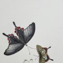 민화배우기 이미지