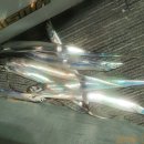 일오삼낚시 이미지